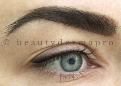Permanent Makeup Eyebrows & Eyeliner